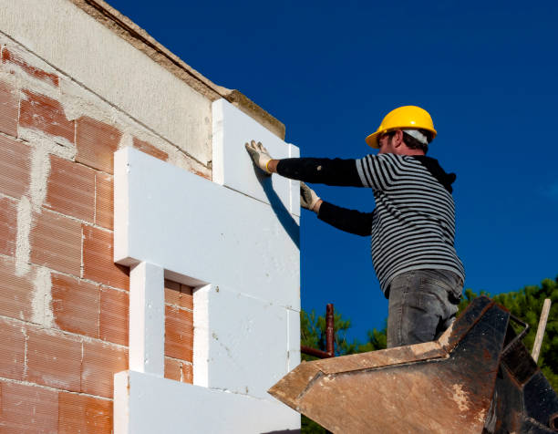 Best Cellulose Insulation  in Olivette, MO