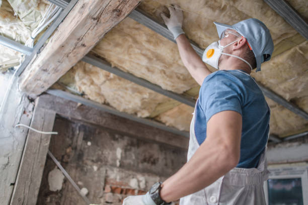 Best Insulation Installation Cost  in Olivette, MO