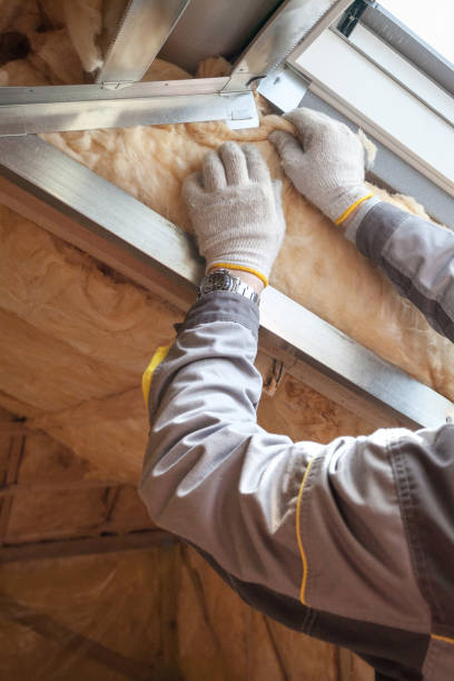 Best Garage Insulation Installation  in Olivette, MO