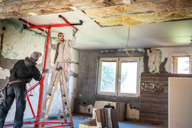 Best Energy-efficient Insulation  in Olivette, MO