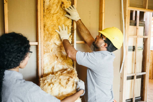 Best Crawl Space Insulation  in Olivette, MO