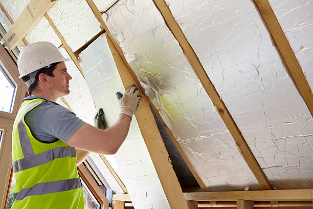 Best Insulation Replacement Services  in Olivette, MO